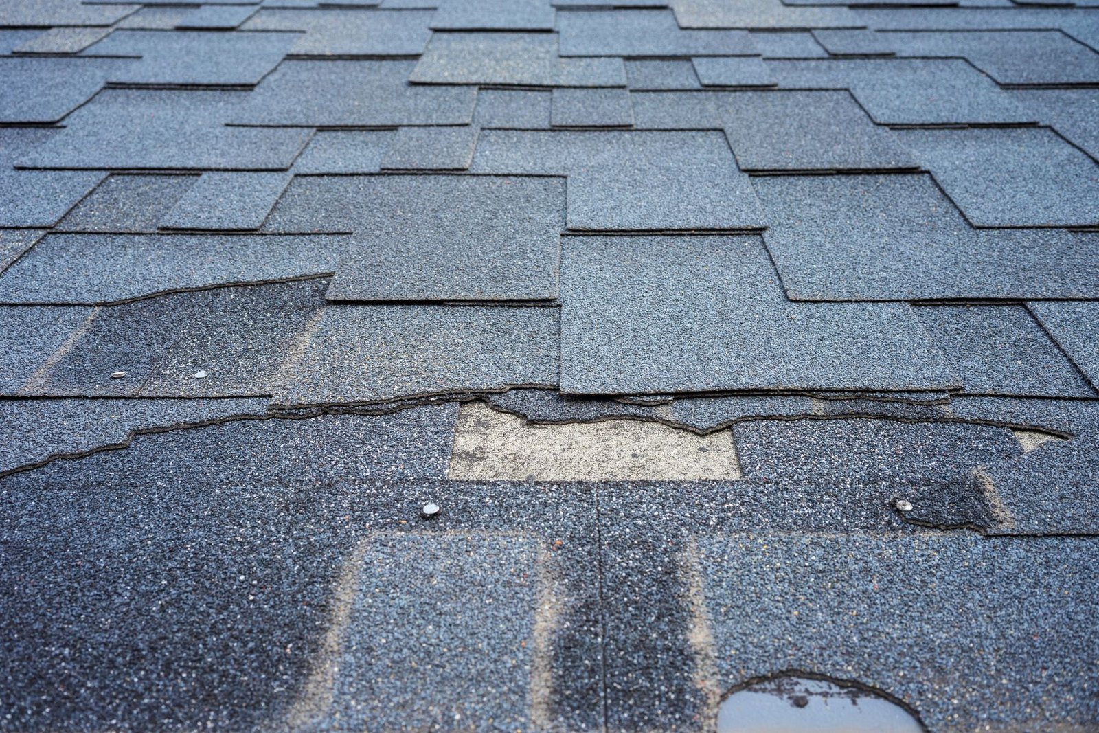 Bruised and lifted asphalt shingles on a roof after a storm