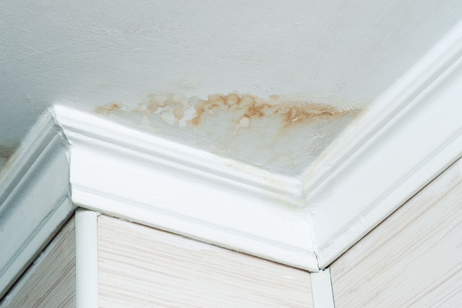 A brown water stain spreading across a white ceiling near the crown moulding